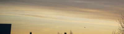 06:58 UTC, der 1. Kondenstr. ist nun sehr diffus, 2 neue >scheinen< auch unter / vor den (PSC) Schleiern zu sein