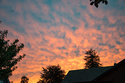 DSC_0729_100.JPG