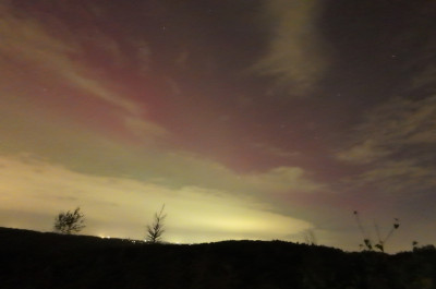 20241010_215312.jpg