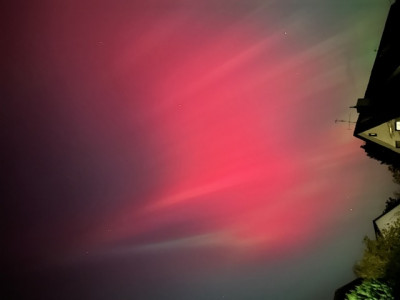 image1.jpeg
