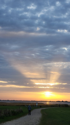 20241017_164140.jpg