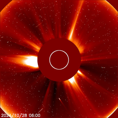 20241028_0600_c2_1024 #.jpg