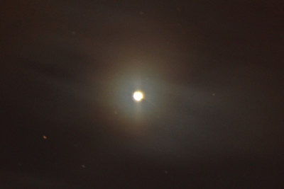 4-Venus.JPG