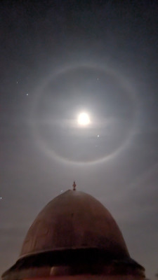 IMG-20250207Mondhalo.jpg