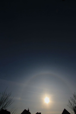 Halo-2-F.JPG