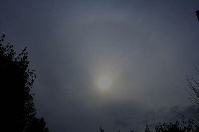 Halo140225-2-F.JPG