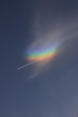 Bild 10 (14:29 MEZ)