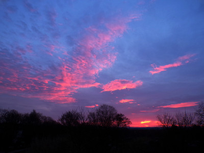 8 Morgenrot AcAs 20250222.jpg