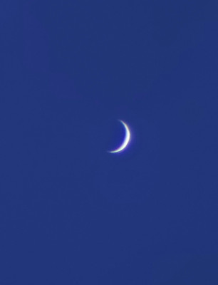 20250303_172146.jpg