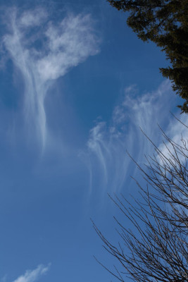 Cirrus6.jpg