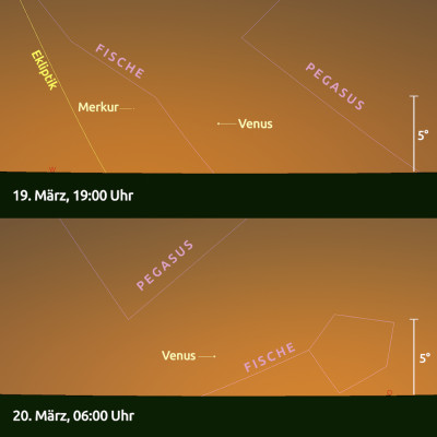 Doppelvenus.jpg