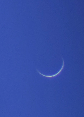 20250319_172406.jpg