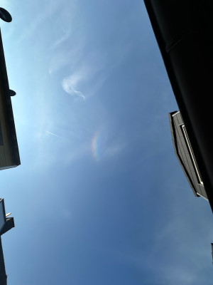 IMG_3684.jpeg