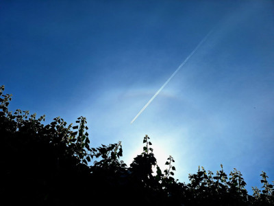 halo140425--F.jpg