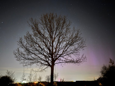 IMG_5741.jpeg (149.85 KiB) 6907 mal betrachtet IMG_5741.jpeg