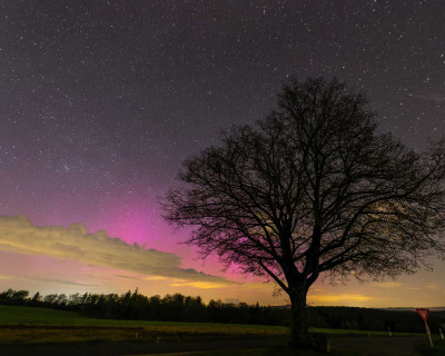 2025_04-April_16_Coburg (23-00).JPG (175.16 KiB) 5001 mal betrachtet 2025_04-April_16_Coburg (23-00).JPG