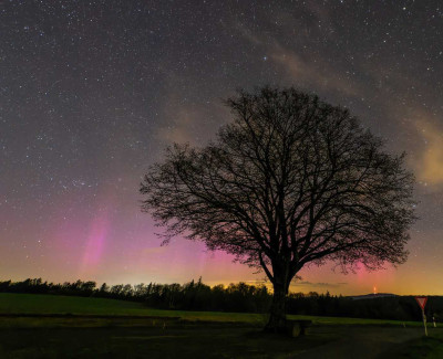 2025_04-April_16_Coburg (24-00).JPG (150.72 KiB) 6105 mal betrachtet 2025_04-April_16_Coburg (24-00).JPG