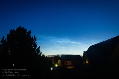 NLC_2025-06-03.jpeg