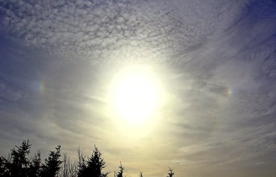 IMG_5967hdr.jpg
