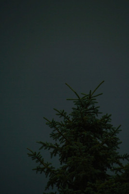 mag.Graublau-F.jpg
