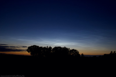 NLC230620251_processed.jpg