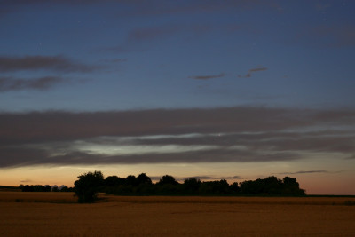 2037UT_IMG_4982_p1w1.jpg