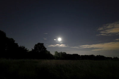 2042UT_IMG_4986_p1w1.jpg