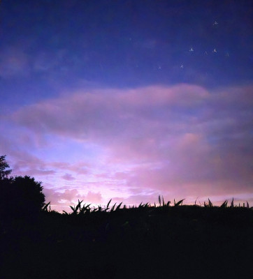 20250708_001721.jpg