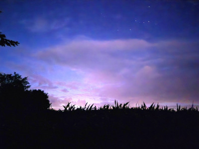 20250708_001739.jpg
