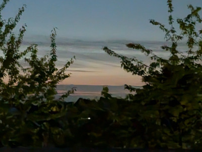 PXL_20250724_212125677.NIGHT~2.jpg (218.6 KiB) 9272 mal betrachtet PXL_20250724_212125677.NIGHT~2.jpg