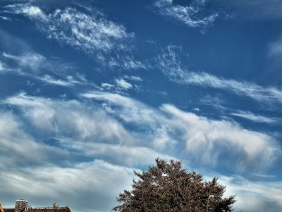 Virga2-F.jpg