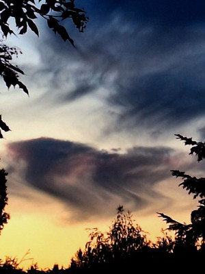 Virga-F.jpg