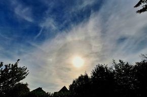Halo-F (2).jpg