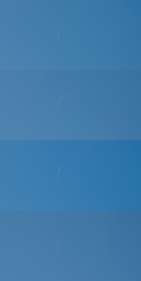 Collage Austritt.jpg