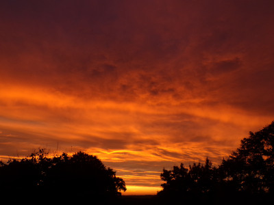 25 Morgenrot 20251003d.jpg