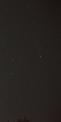 DSC_1453_350.jpg