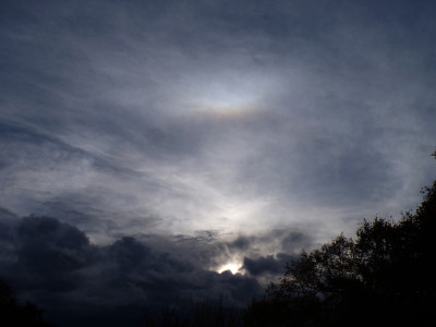 26 OBB 20251023b.jpg