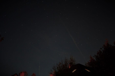 Lemmon akt. Pos.301025-F.jpg