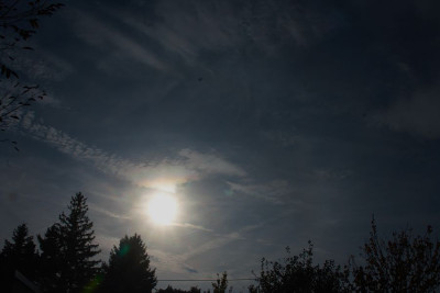 iris wo dif halo-2-F.jpg