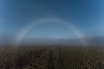 Nebelbogen Röhn 06.11.2025 klein.jpg