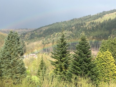 160412 RB von VolkerM#.jpg (234.33 KiB) 2227 mal betrachtet Regenbogen auf "Augenhöhe" ! (Foto: V. Mayer)