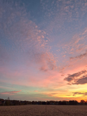 12.11.2025 beim s<br />12.11.2025 beim Sonnenuntergang