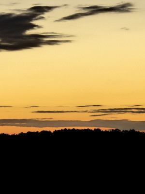 Die Entdeckung! Zoom in die Mitte!