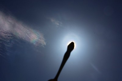 IMG_6389.jpg