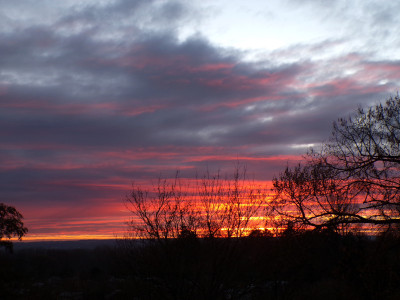 38 Morgenrot 20251122.jpg