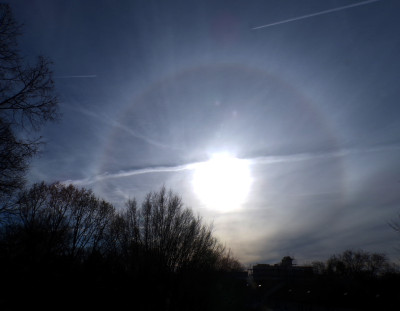 39 Halo 20251122.jpg