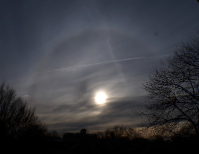 40 Halo NSli 20251122.jpg