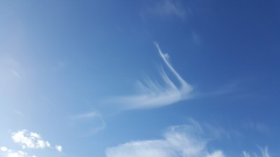 20160422_184544.jpg (47.4 KiB) 5402 mal betrachtet Ein Engelsflügel