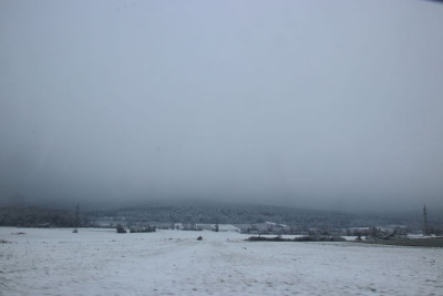 Rauhfrostwälder -F.JPG