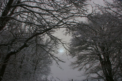 Sonne bricht durch-F.jpg
